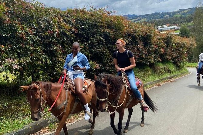 Medellin: Horseback Riding Adventure In Nature (Don't Overpay) - Meeting at La Makha and the round-trip transfer setup