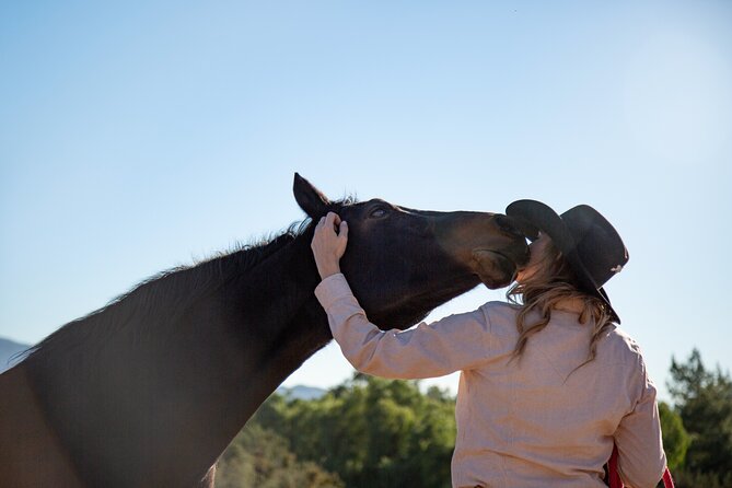 Medellin: Horseback Riding Adventure In Nature (Don't Overpay) - At the ranch: horses, instructions, and why “well trained” matters