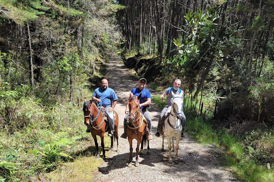 Medellin: Horseback Riding Coffee Farm Tour with Coffee Spa - Why this Don Leandro coffee-and-horse day feels different