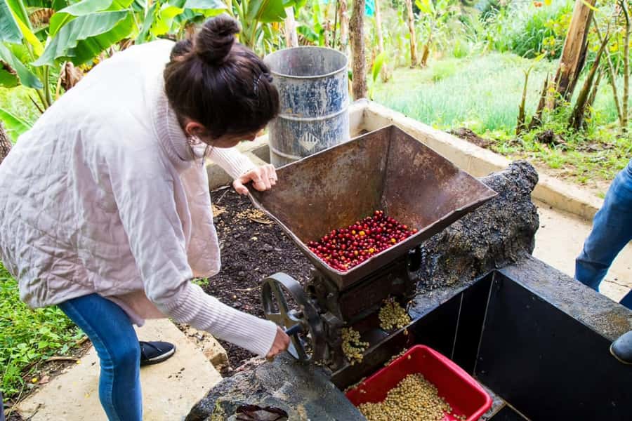 Medellin: Horseback Riding Coffee Farm Tour with Coffee Spa - Timing, comfort, and what to pack for a mountain day