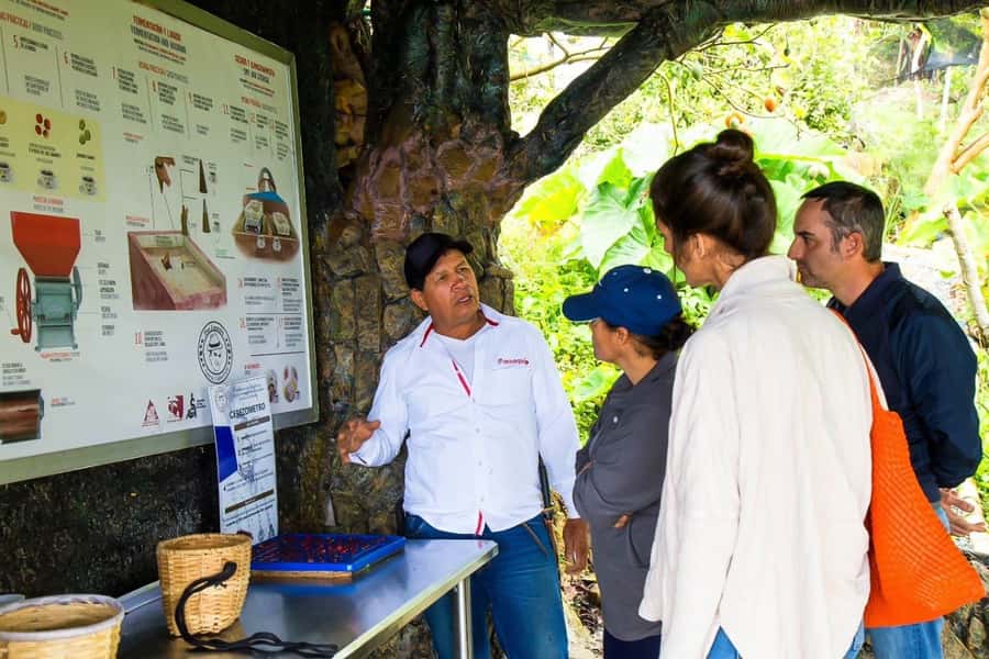Medellin: Horseback Riding Coffee Farm Tour with Coffee Spa - Price and value: is $150 actually fair here?