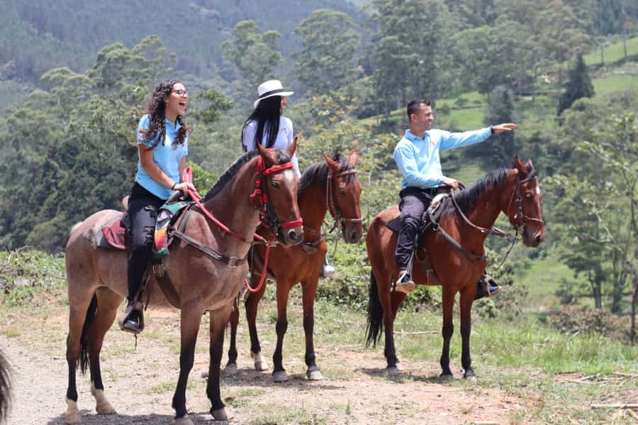 Medellin: Horseback Riding in the Medellin Mountains - FAQ