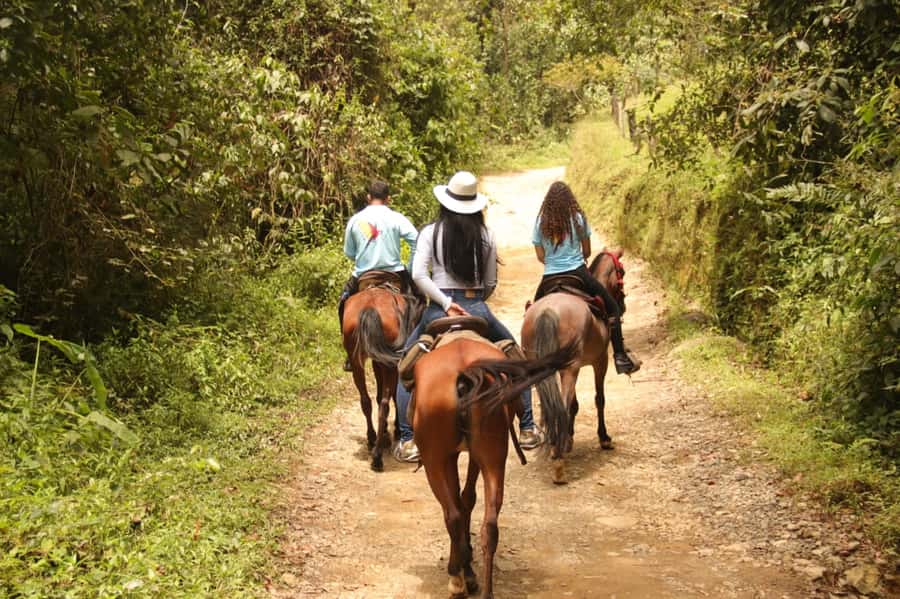 Medellin: Horseback Riding in the Medellin Mountains - Food and Fun Stops: Snacks, Traditional Ice Cream, and a Sports-Fan Moment