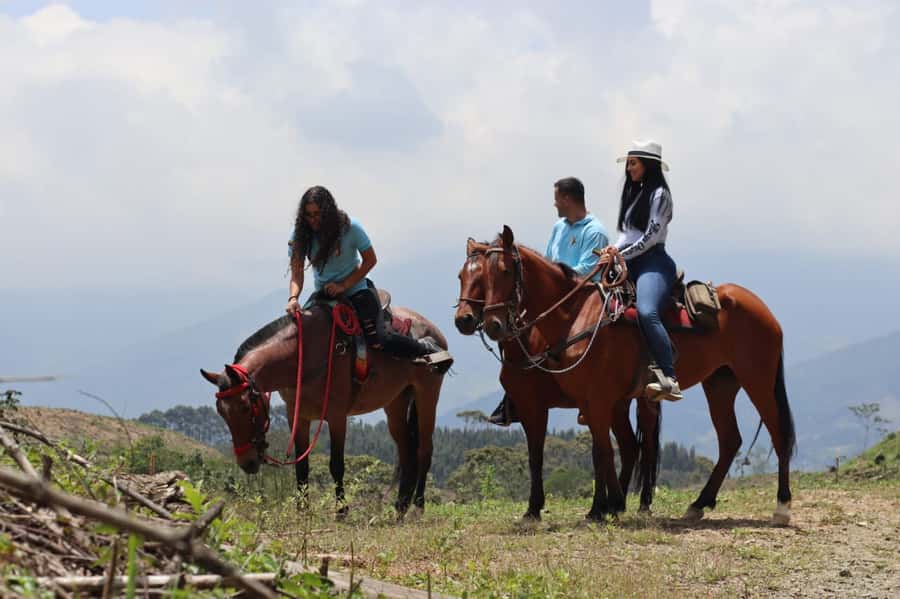 Medellin: Horseback Riding in the Medellin Mountains - Who Should Book This Medellín Horse Ride (and Who Might Not)