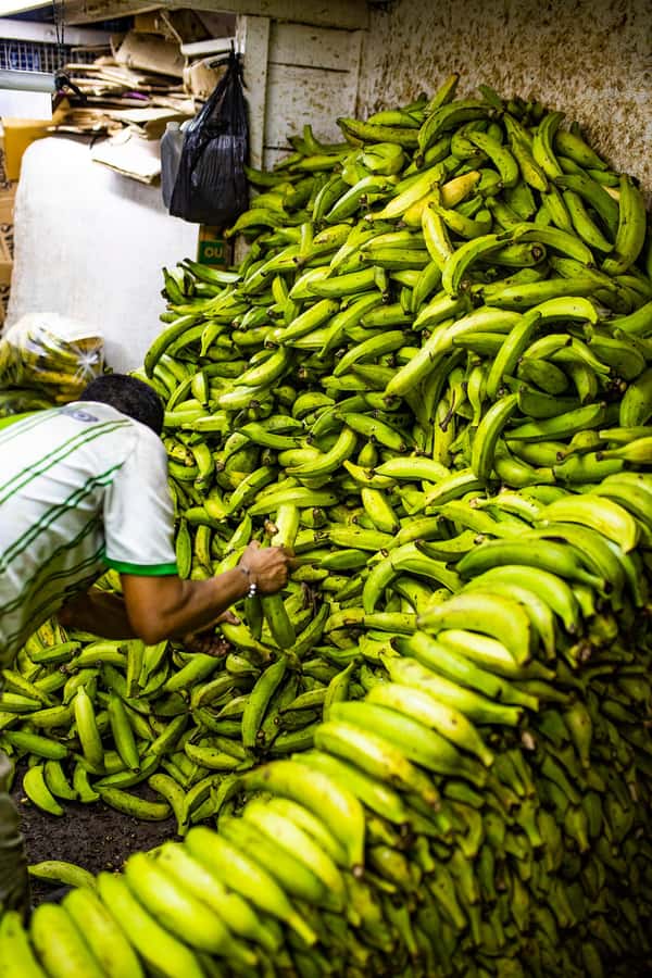 Medellín Multi-sensory Tour in the market, +15 Exotic Fruits - Price and value: why $36 can be a smart deal for fruit and access