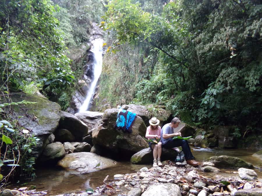 Medellín: Nature Experience & Waterfall-Hike - Medellín Nature Experience: why this works as a half-day