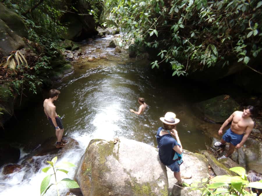 Medellín: Nature Experience & Waterfall-Hike - The Rio Miel trail: about 90 minutes of river-hugging steps