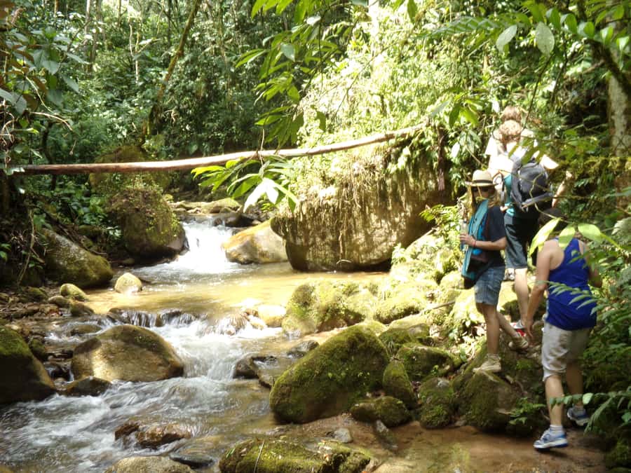 Medellín: Nature Experience & Waterfall-Hike - La Miel waterfall: seeing it at about 20 meters
