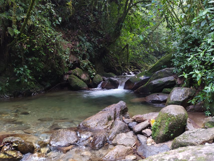 Medellín: Nature Experience & Waterfall-Hike - Swimming in the reserve’s natural pools: plan like you’ll get wet