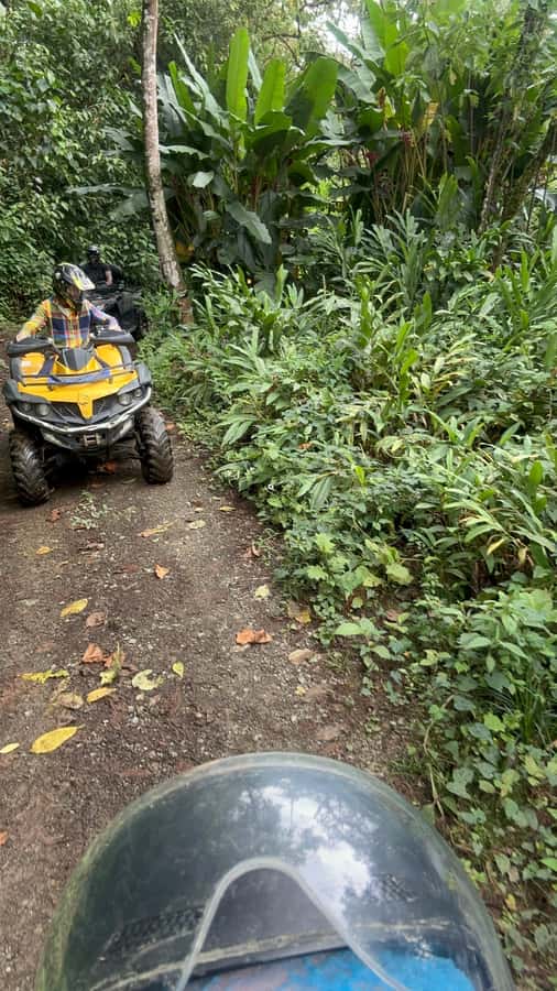 Medellin: Private ATV TOUR 1.5H - The 1.5 hour quad biking trails: views, mix of terrain, and real fun time