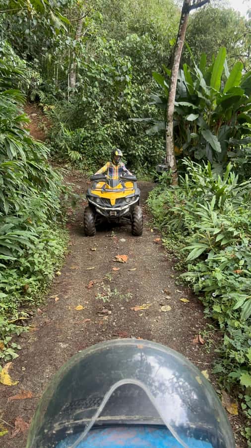Medellin: Private ATV TOUR 1.5H - What this tour is best for (and what to watch)