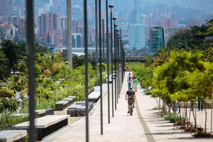 Medellín: Private City Tour and Comuna 13 Tour - The private guide factor, and why the best ones feel personal
