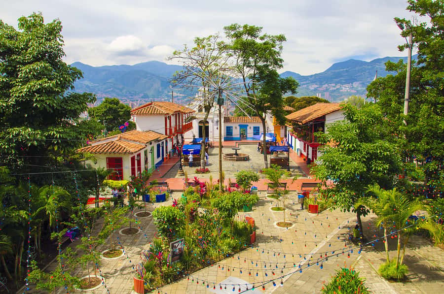 Medellín: Private City Tour with Metrocable and Comuna 13 - What you will do during the Comuna 13 part, and what can slow you down