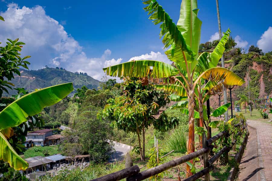 Medellín: Private Guatapé Tour w/ Breakfast, Lunch & Cruise - Is $134 Good Value for 9 Hours of Guatapé?