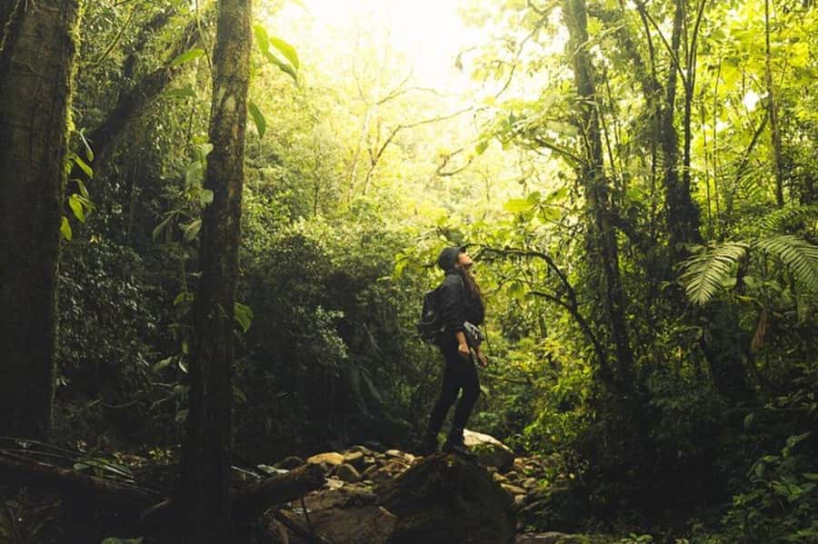 Medellín: Secret Waterfall Hike Tour with Snack and Coffee - How the 5-hour schedule really feels in the field
