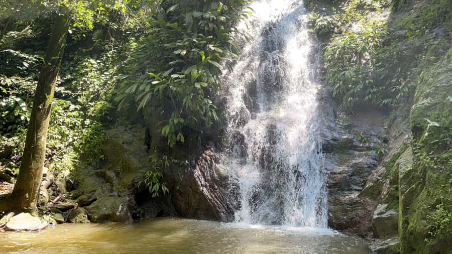 Minca: Hidden Waterfall + Coffee and Cocoa Workshop - From Santa Marta to Minca, the day starts with coffee context