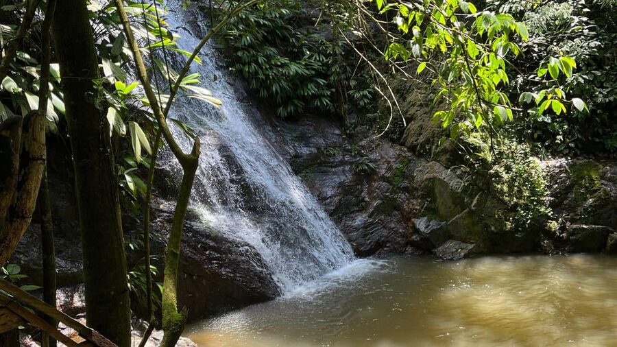 Minca: Hidden Waterfall + Coffee and Cocoa Workshop - The jungle walk to lunch, then cocoa to chocolate