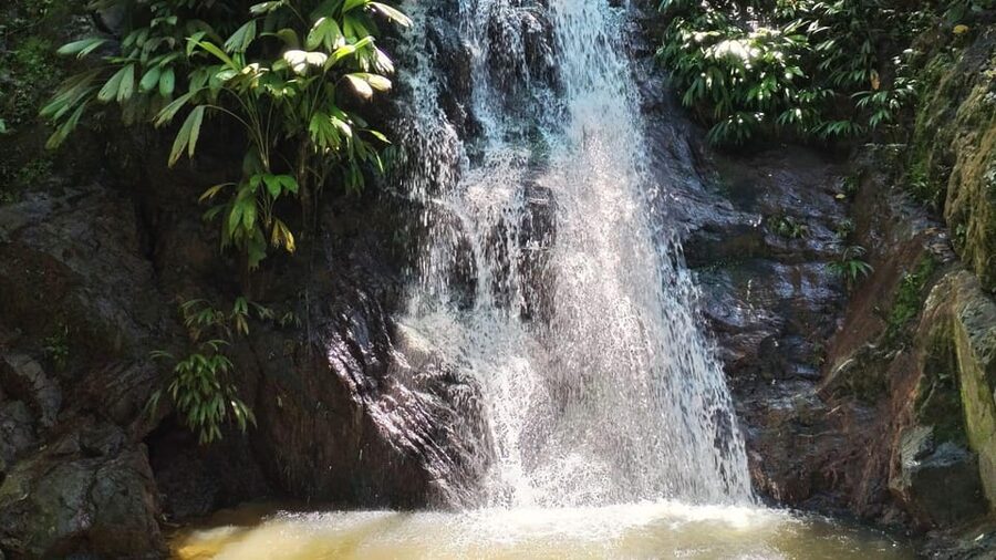 Minca: Hidden Waterfall + Coffee and Cocoa Workshop - Museum of Cacao de Minca, tastings, and wildlife chances