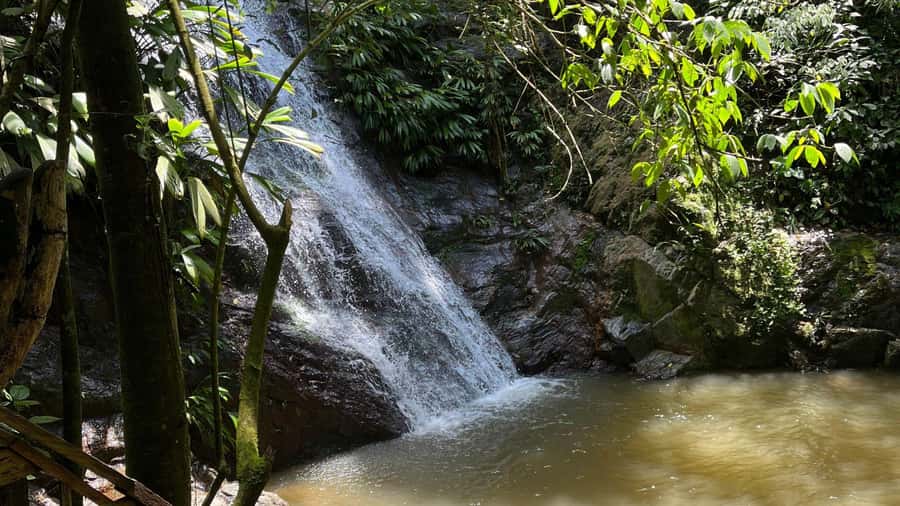Minca: Hidden Waterfall + Coffee and Cocoa Workshop - What to bring so the day stays pleasant