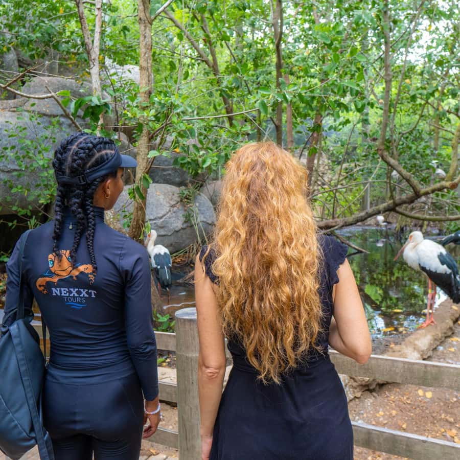 National Aviary and Playa Blanca Plankton Full-Day Tour - Key Things to Know Before You Go