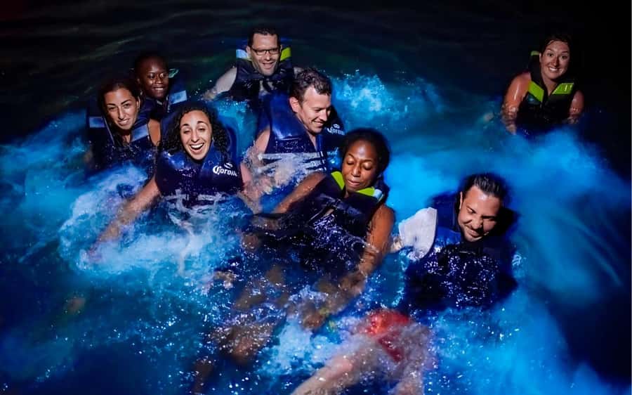 National Aviary and Playa Blanca Plankton Full-Day Tour - Mambo Beach Club on Barú: Lunch voucher, loungers, and real beach time