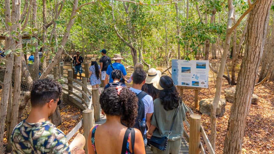 National Aviary and Playa Blanca Plankton Full-Day Tour - Return to Cartagena: Rushed endings and what to pack mentally