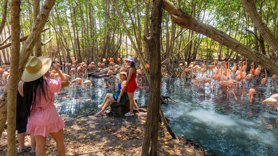 National Aviary and Playa Blanca Plankton Full-Day Tour - Price and value at $83: What you get, and where you might feel the compromises