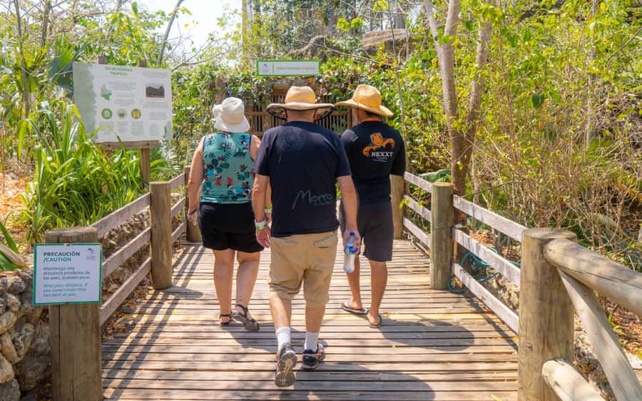 National Aviary and Playa Blanca Plankton Full-Day Tour - Barú Island by speedboat: Beach energy and a snorkeling window