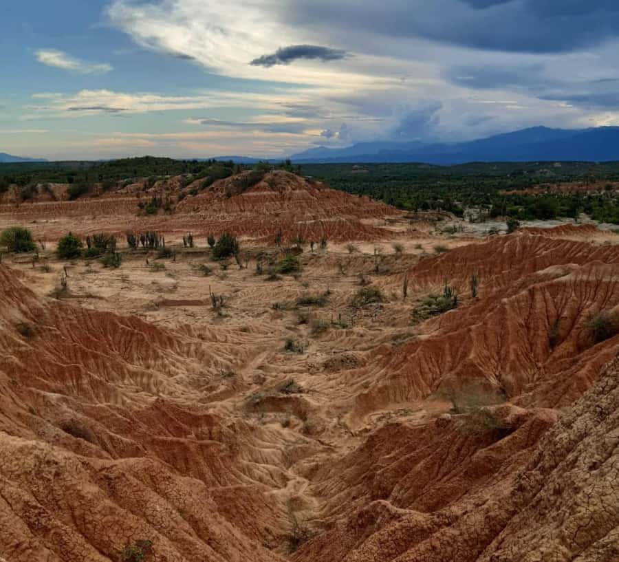 Neiva: Guided Day Trip to the Tatacoa Desert with Lunch - Gray Desert trails and Cueva del Tiempo, including Paso de la Culebra