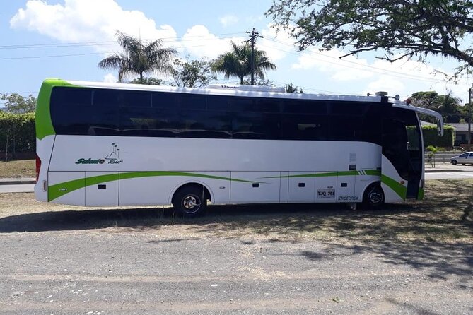 One way transfer from Pereira to Salento AND/OR Salento to Pereira - Pickup That Matches Your Real Life (Not a Fixed Bus Schedule)