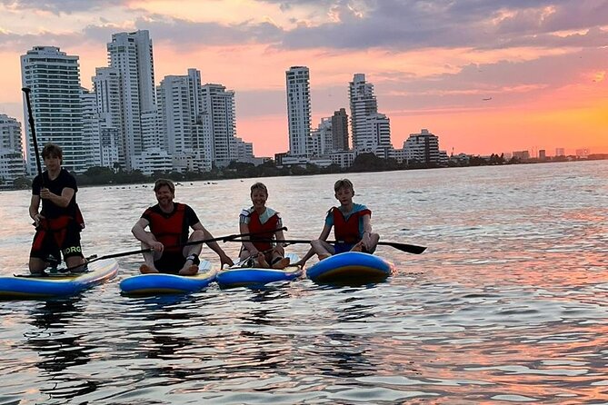 Paddleboard Tour - LED lights, photos, and the fun stuff you can spot