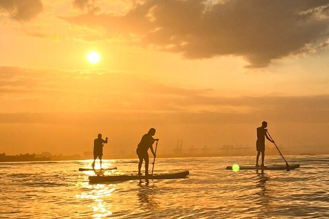 Paddleboard Tour - How the 1 hour actually plays out on the water