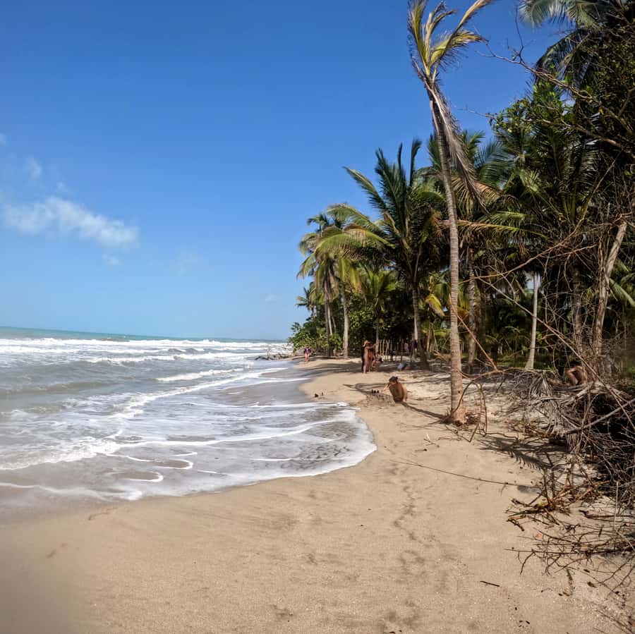 Palomino: Palomino River Tubing and Hiking Tour - Getting to El Zaino and the 7:15 AM reality check