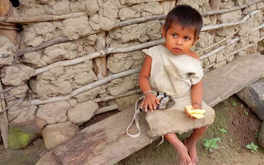 Palomino: Private Tour to Tungueka Indigenous Village - Quick reasons this tour is worth your attention