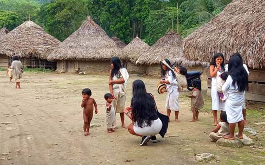 Palomino: Private Tour to Tungueka Indigenous Village - Meeting the Kogi at Tungueka: what you’ll actually learn
