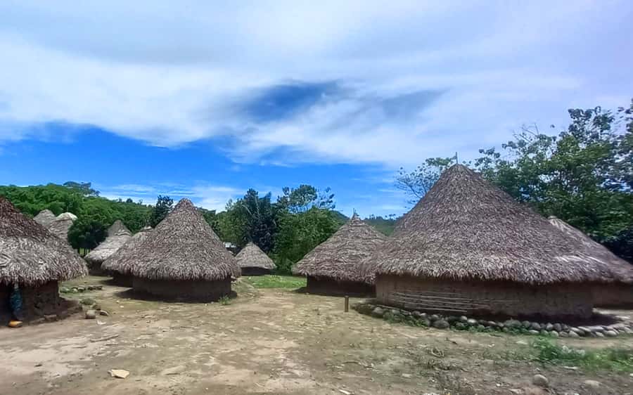 Palomino: Private Tour to Tungueka Indigenous Village - Who should book this tour, and who should skip it