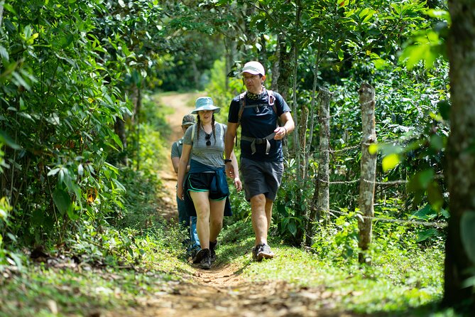 Pance Waterfalls: Hike to discover the biodiversity of the valley - Why Pance Waterfalls Feels Like a Real Reset From Cali