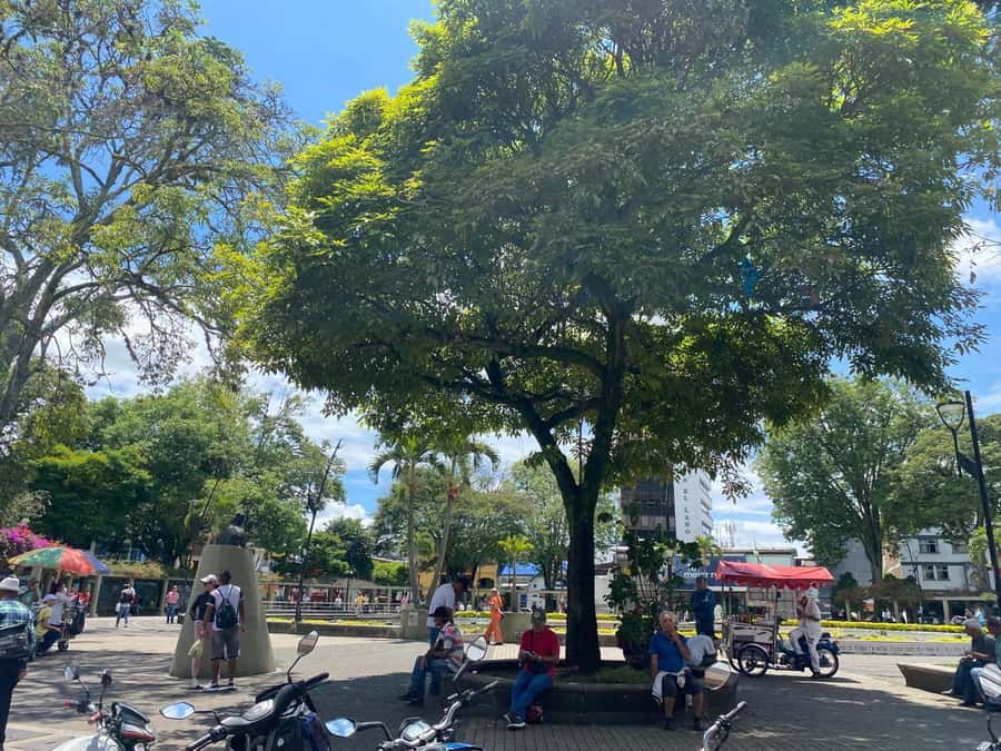 PEREIRA: PRIVATE TOUR OF MAIN SQUARES, HISTORICAL SITES + LOOKOUT POINT - Price and value: is $59 per person a good deal?