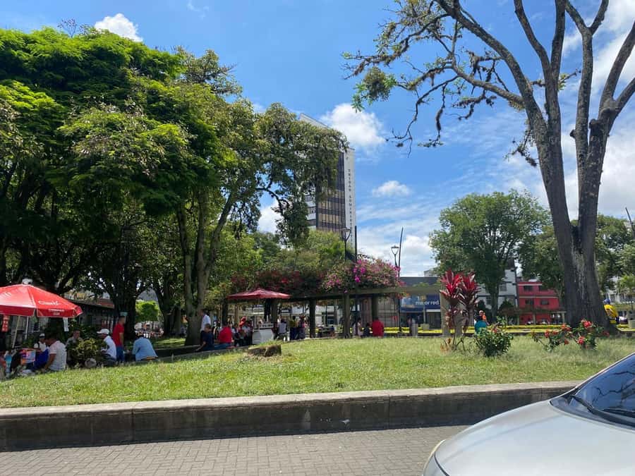 PEREIRA: PRIVATE TOUR OF MAIN SQUARES, HISTORICAL SITES + LOOKOUT POINT - La Libertad Park and Plaza del Bolívar, where the monuments anchor the story