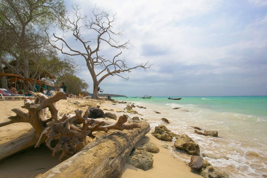Playa Blanca Full-Day Trip from Cartagena - Should you book Playa Blanca from Cartagena?