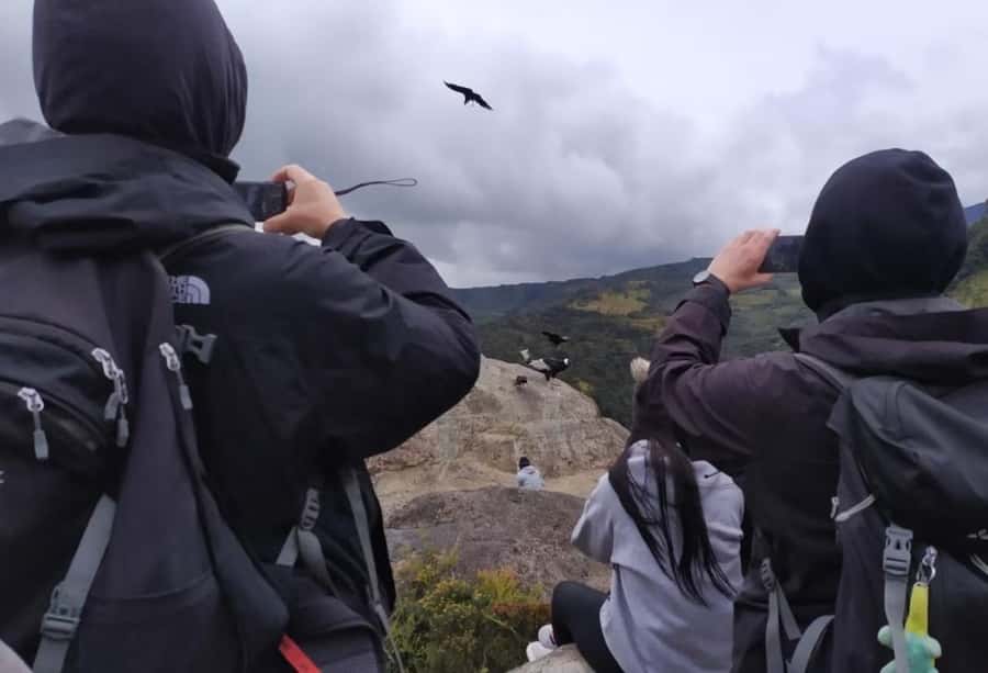 Popayan: Condor Watching in Purace + San Juan Hot Springs - Key things you should know before you go