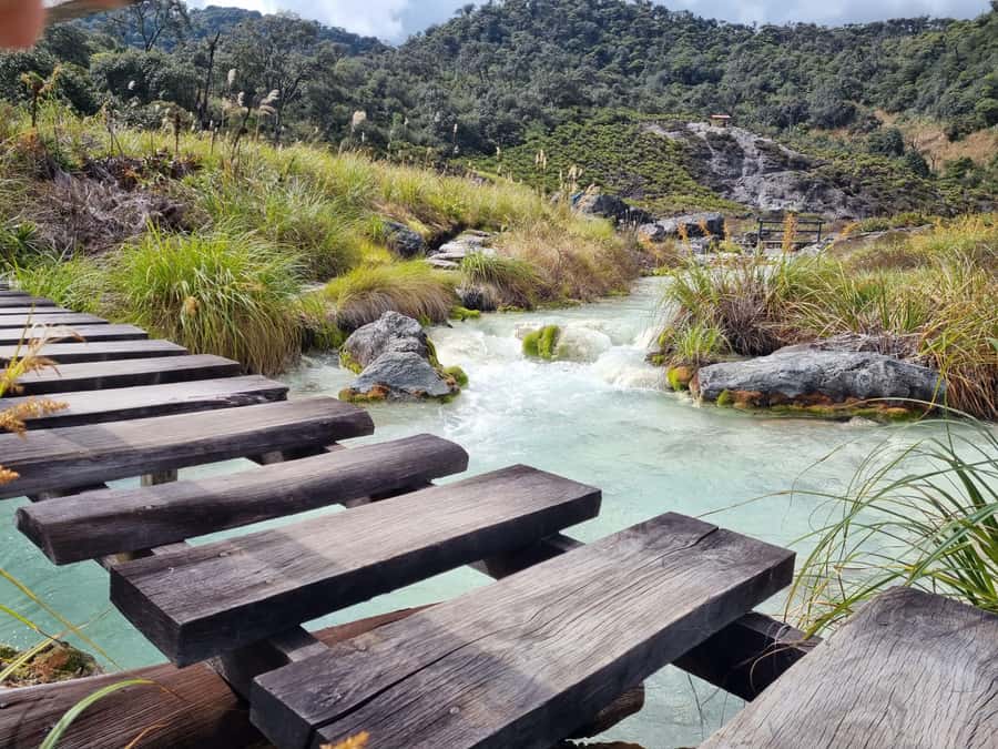 Popayan: Condor Watching in Purace + San Juan Hot Springs - Price and value: is $119 for 10 hours fair?