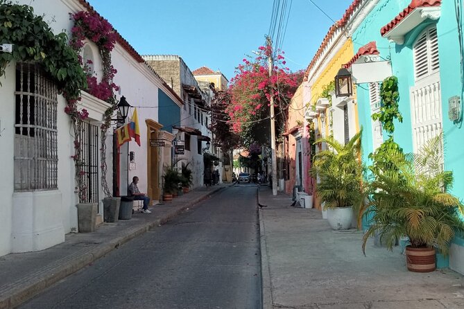 Private Cartagena city and street food tour. - Price and logistics: what’s included, what’s not, and what to plan