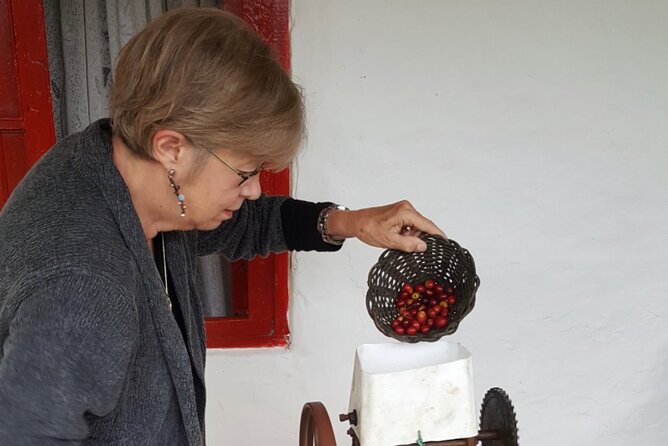 Private coffee tour near Medellín, from bean to cup. - Timing, weather, and the 4 to 5 hour rhythm