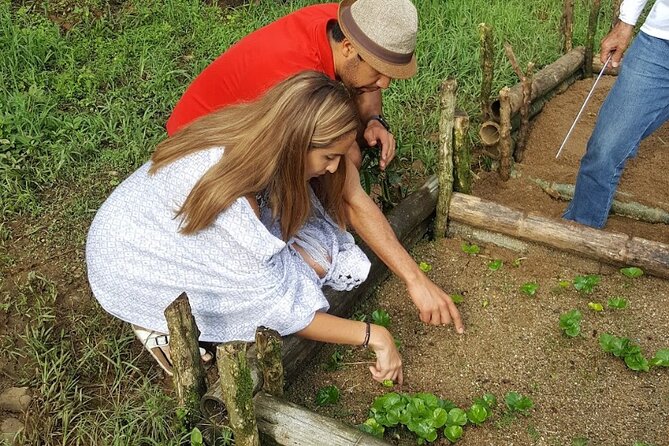 Private coffee tour near Medellín, from bean to cup. - Hands-on berry picking, boots, and the farm walk