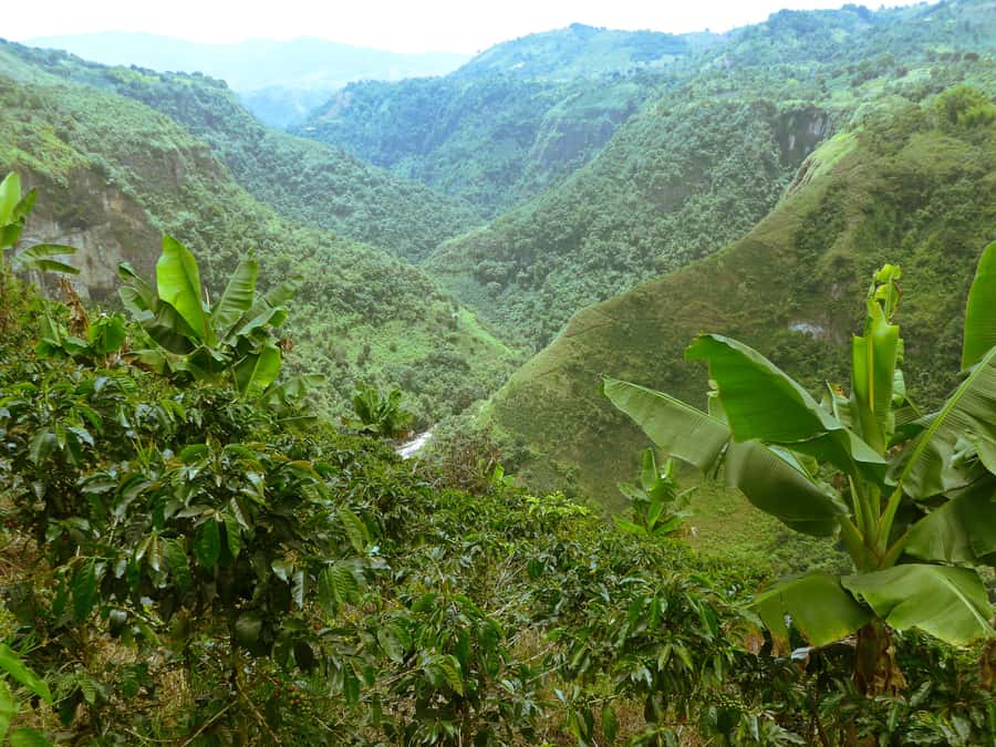 Private Jeep Tour to the Surroundings of San Agustín - How this 8-hour San Agustín Jeep tour actually pays off