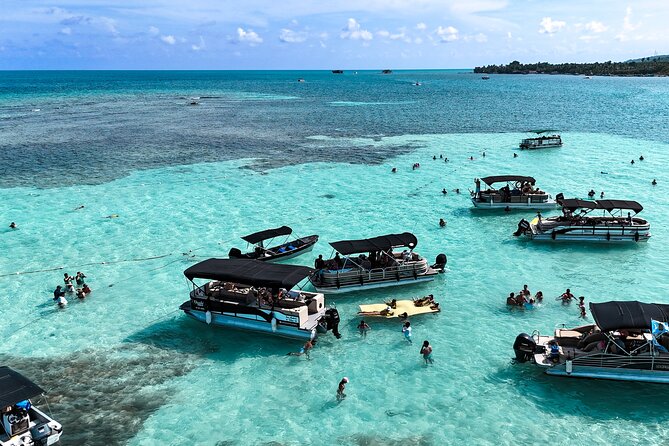 Private Marine Tour: Discover the 7 Colors of the San Andreas Sea - Key highlights