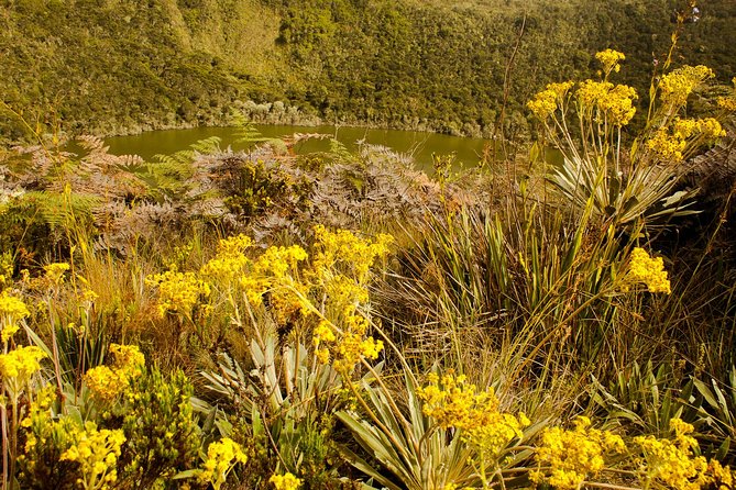 Private Zipaquira Salt Cathedral and Guatavita Lagoon Tour from Bogota - The paramo walk and why weather can change fast