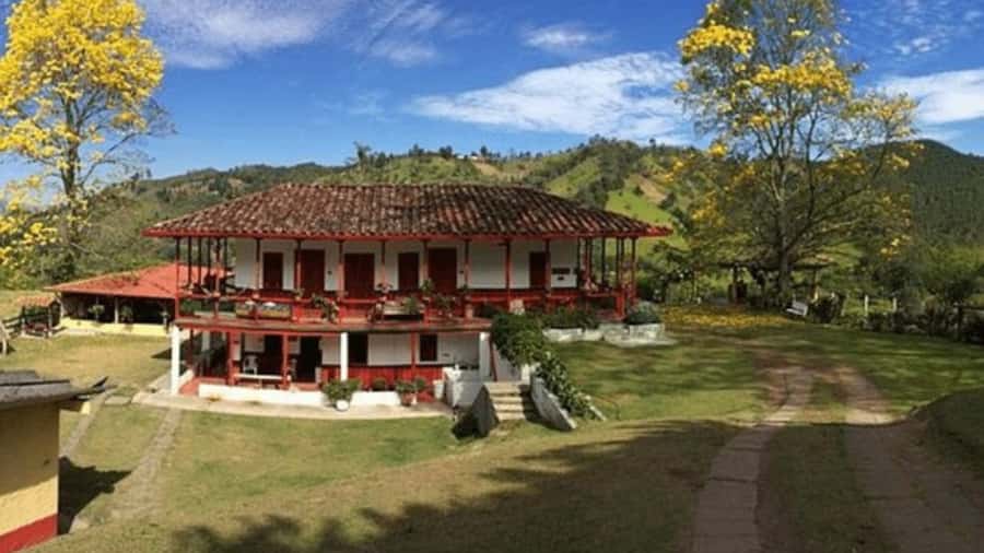 Salento and Cócora Tour + Coffee Farm from Pereira/Armenia - Key things to know before you go