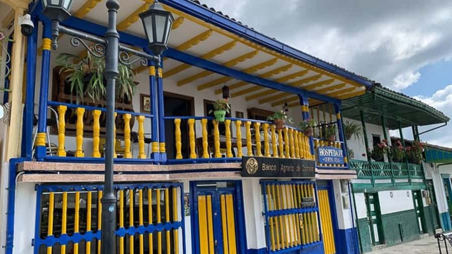 Salento and Cócora Tour + Coffee Farm from Pereira/Armenia - Price and value: what $173 buys on a private 8-hour day